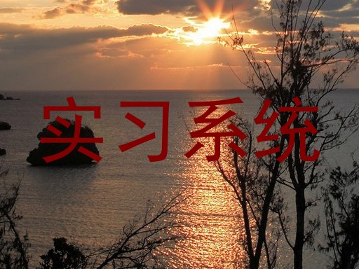 实习系统