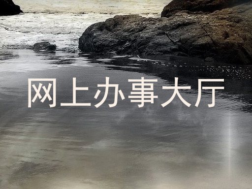网上办事大厅