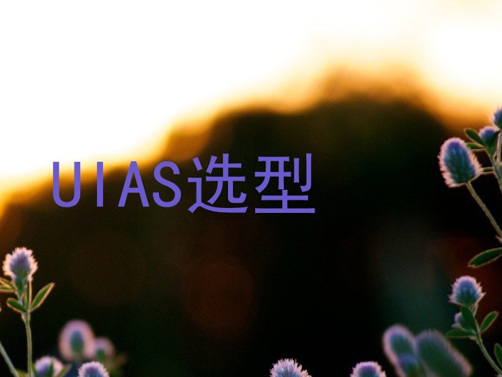 UIAS选型