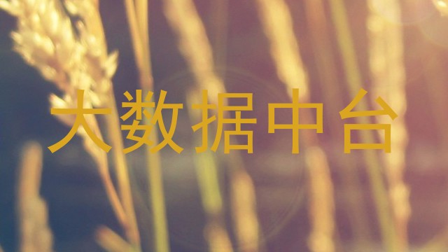 大数据中台