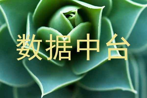 数据中台