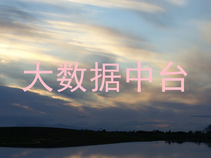 大数据中台