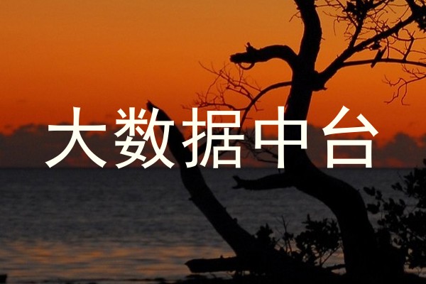 大数据中台