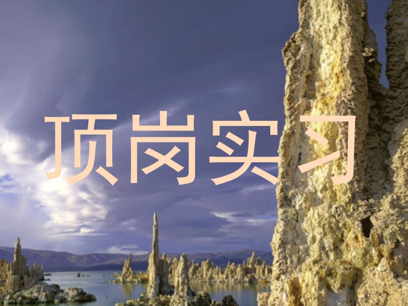 顶岗实习