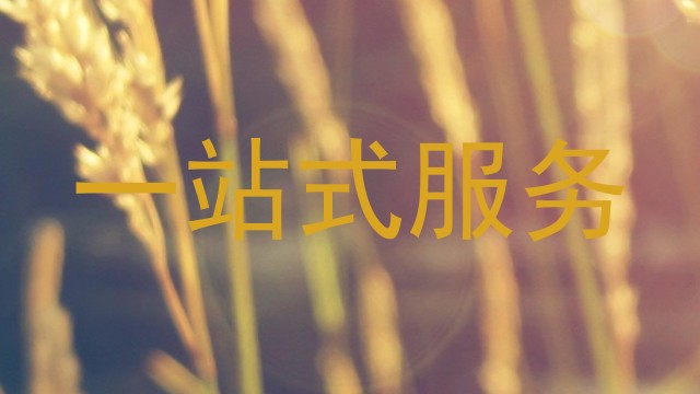 一站式服务