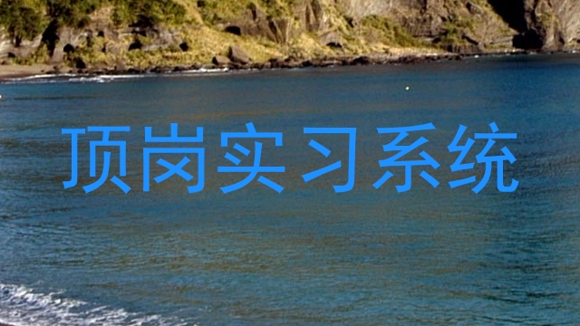 顶岗实习系统