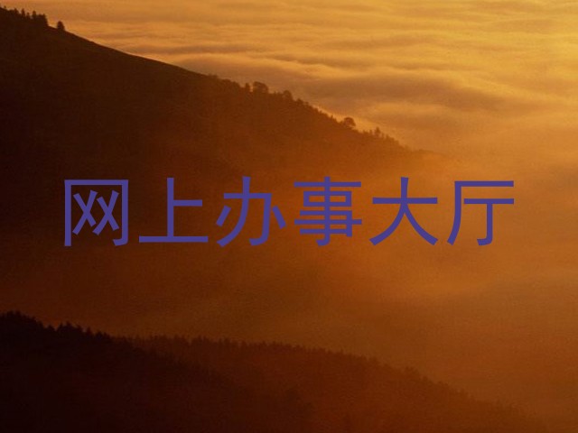 网上办事大厅