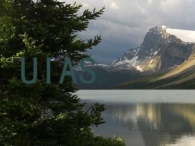 UIAS