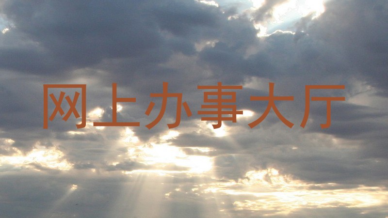网上办事大厅