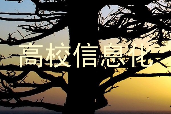 高校信息化