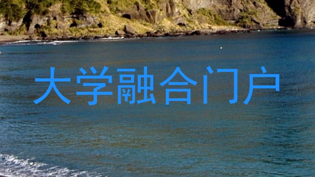 大学融合门户