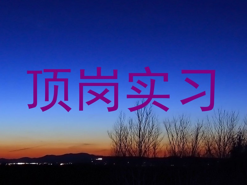 顶岗实习