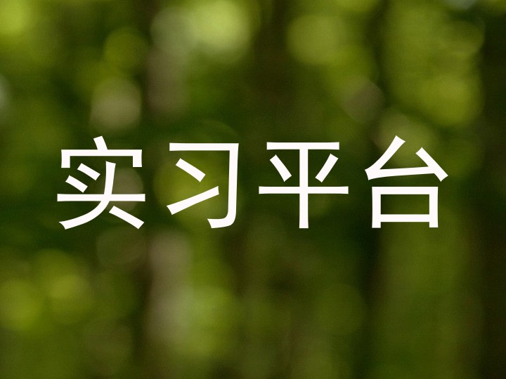 实习平台
