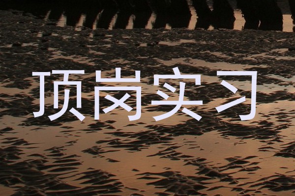 顶岗实习