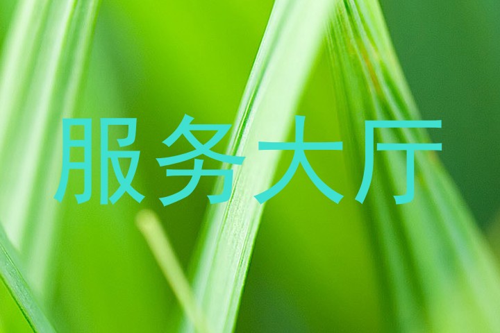 服务大厅