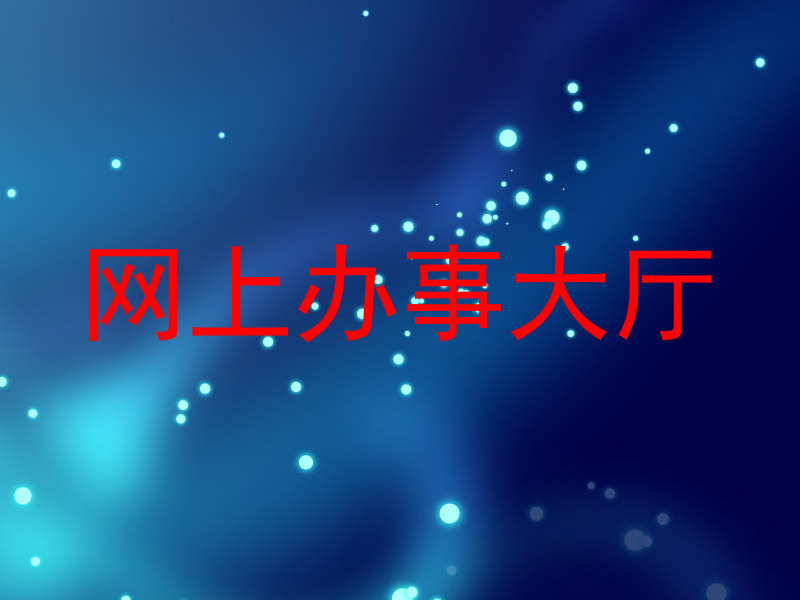 网上办事大厅