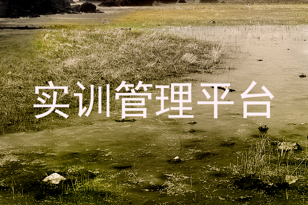 实训管理平台