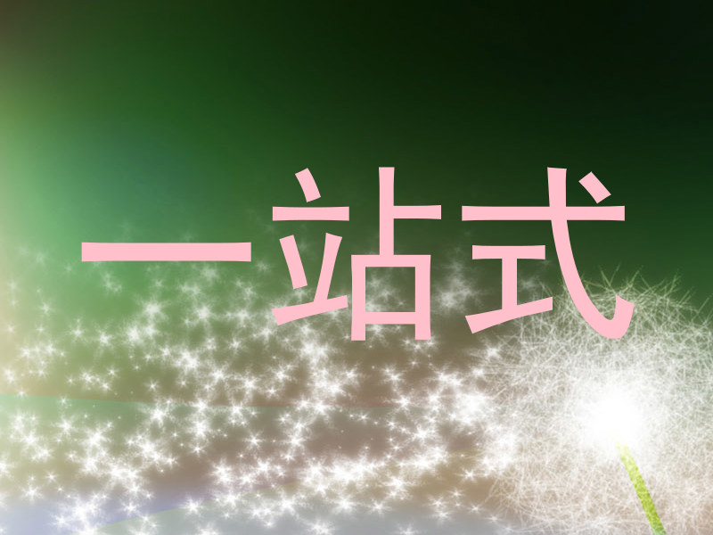 一站式