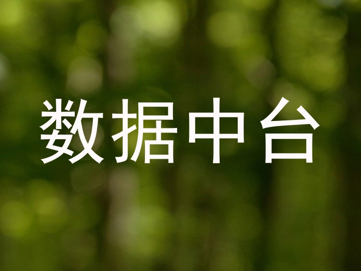 数据中台