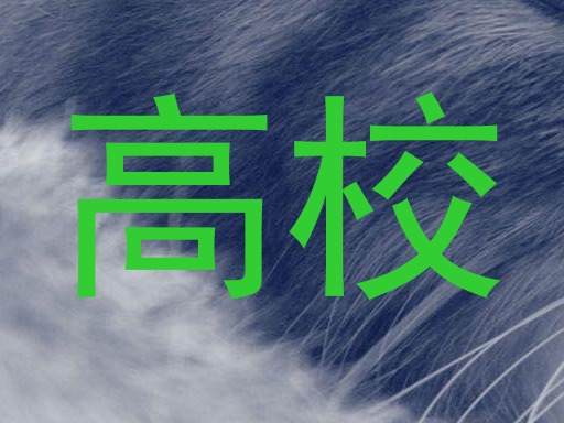 高校