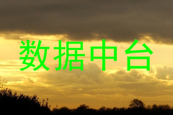 数据中台