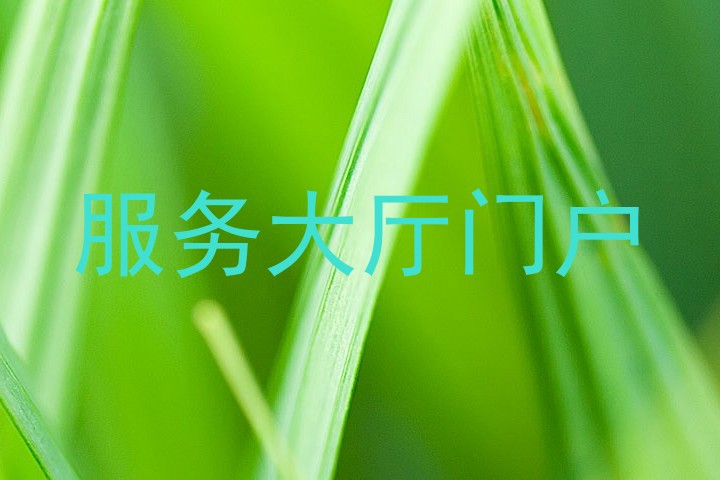服务大厅门户