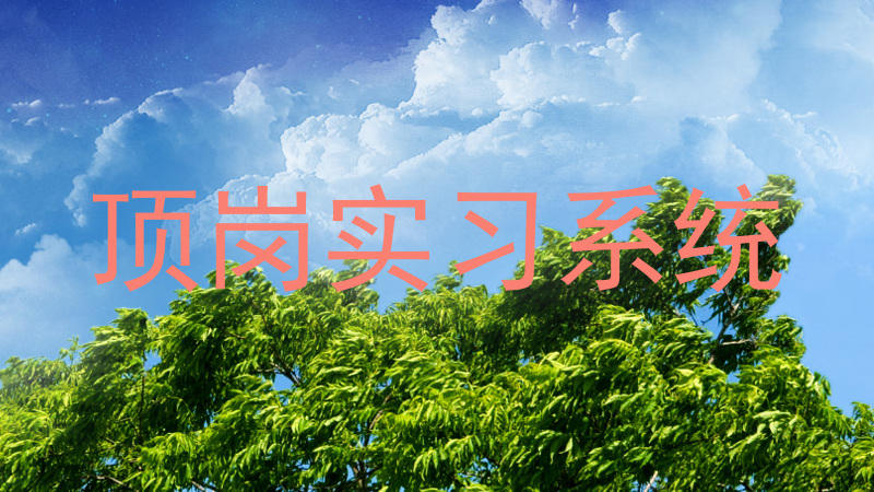 顶岗实习系统