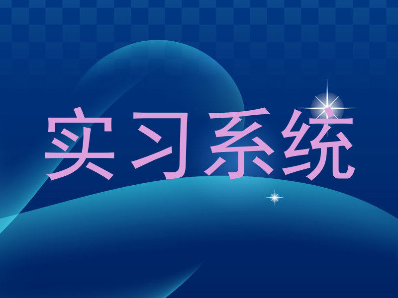 实习系统