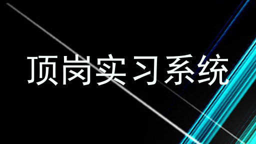 顶岗实习系统