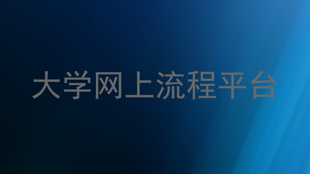 大学网上流程平台