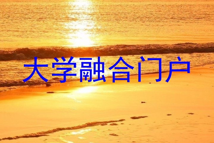 大学融合门户