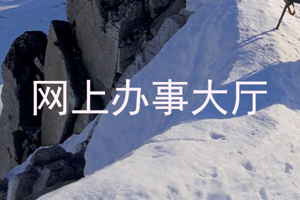 网上办事大厅