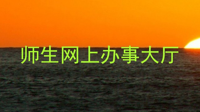 师生网上办事大厅