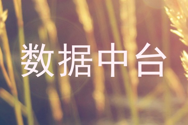 数据中台