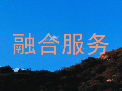 融合服务