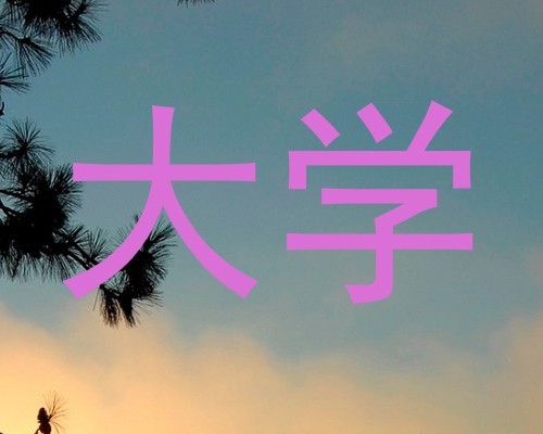 大学