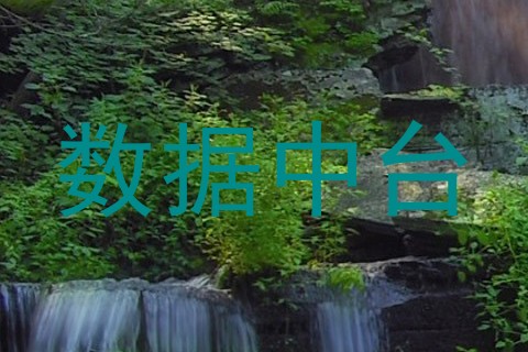 数据中台