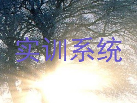 实训系统