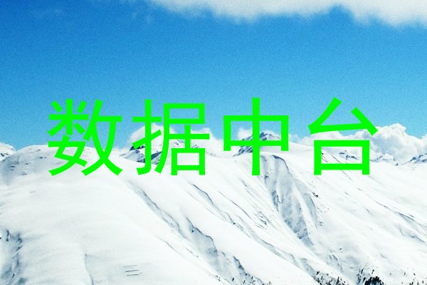 数据中台