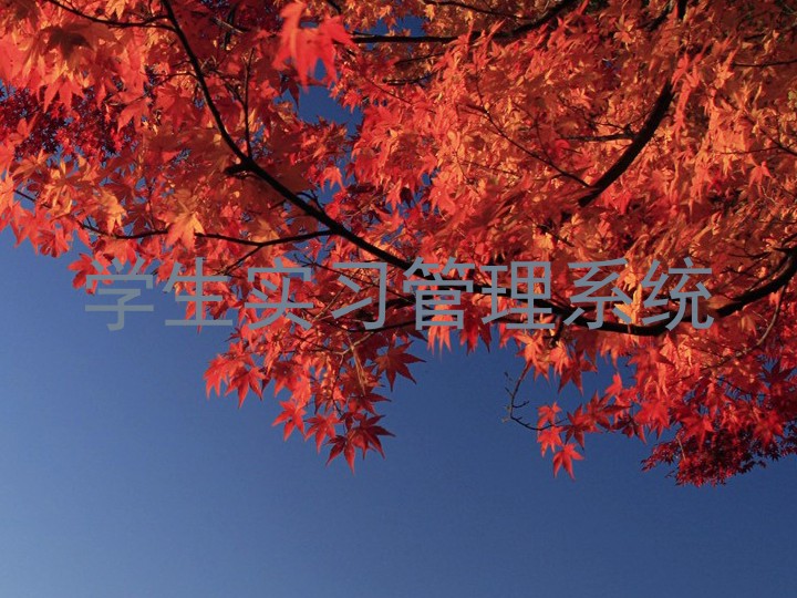 学生实习管理系统