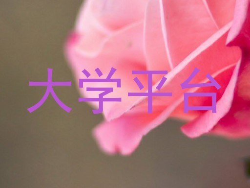 大学平台