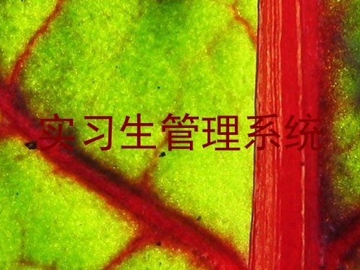 实习生管理系统