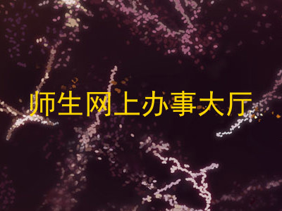 师生网上办事大厅