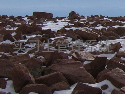 实习生管理系统