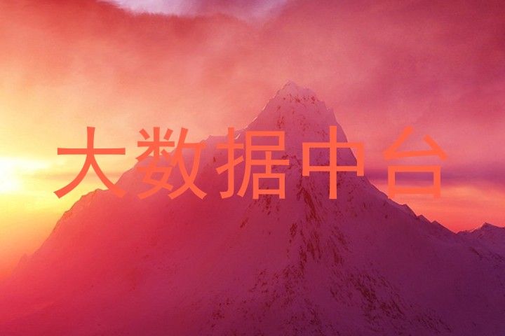 大数据中台