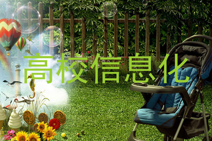 高校信息化