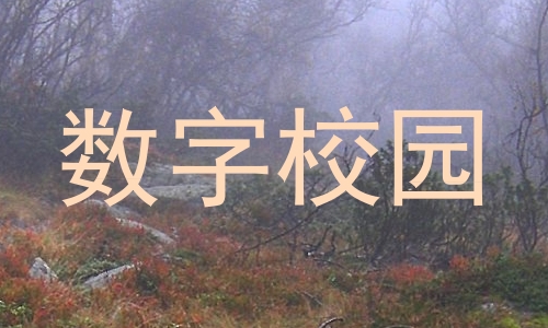 数字校园