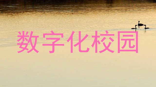 数字化校园