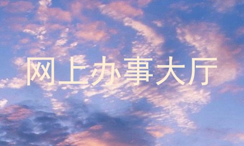 网上办事大厅