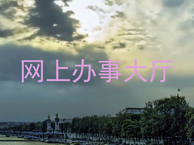 网上办事大厅